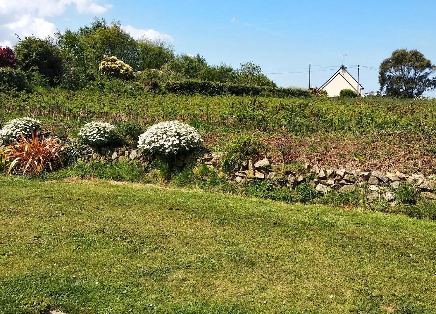 Holiday home Gite Ty An Aod - 3 Etoiles Plougrescant France
