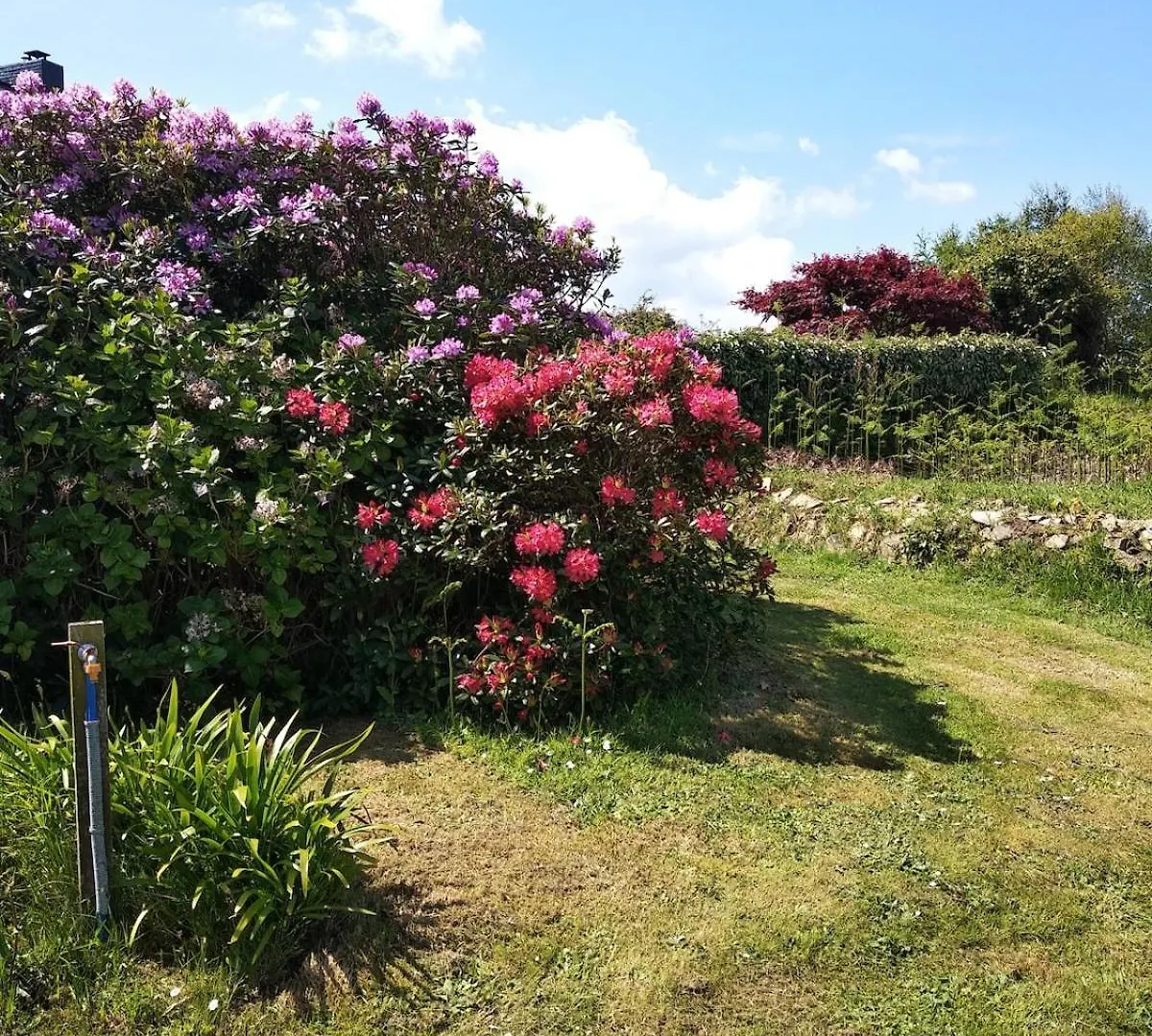 Holiday home Gite Ty An Aod - 3 Etoiles Plougrescant